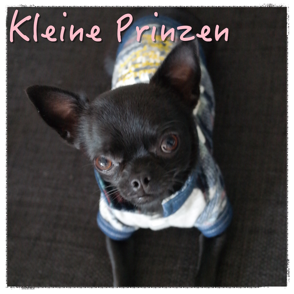 Kleine Prinzen